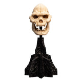 Weta Workshop Der Herr der Ringe Lurtz Schädel Mini Statue