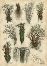Weta Workshop Herr Der Ringe - Ent’s Of Fangorn Forest Kunstdruck