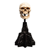 Weta Workshop Herr der Ringe Mini Statue Skull of a Mordor Orc 14 cm