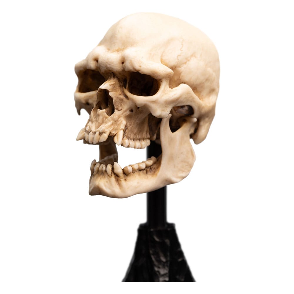 Weta Workshop Herr der Ringe Mini Statue Skull of a Mordor Orc 14 cm