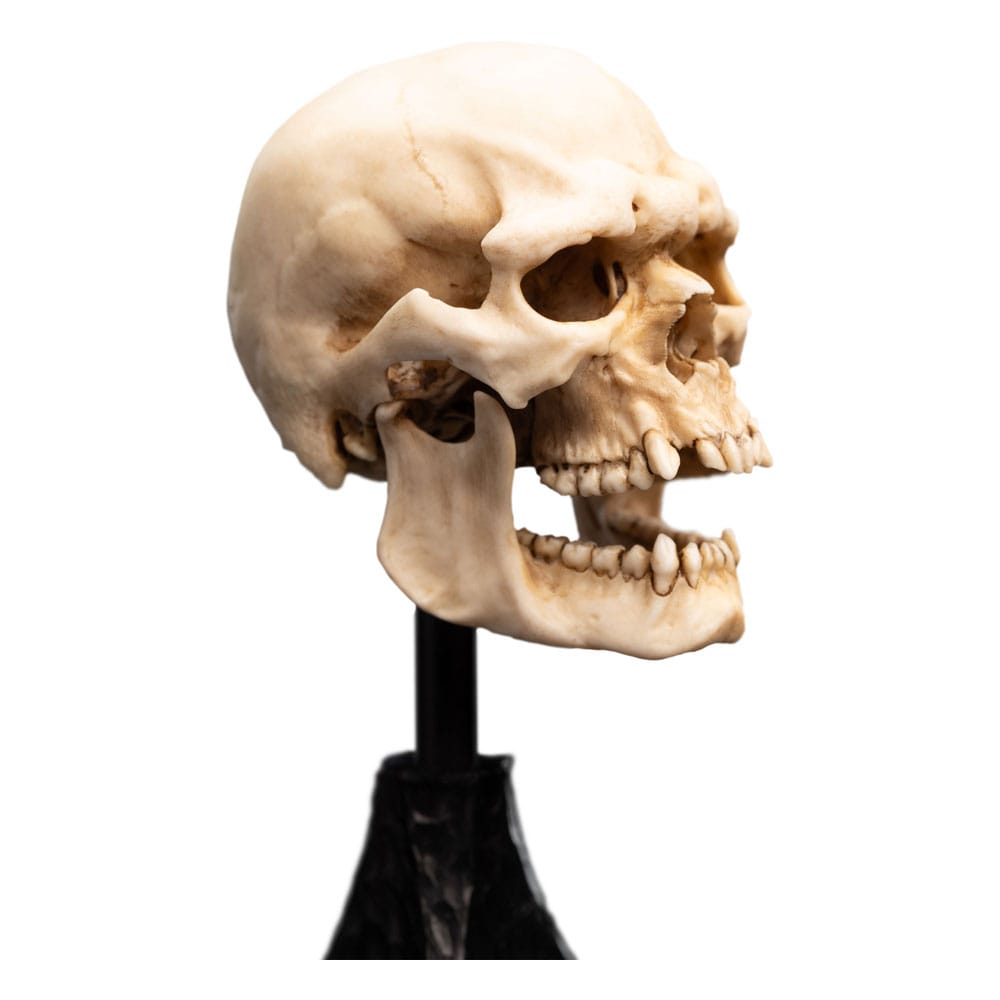 Weta Workshop Herr der Ringe Mini Statue Skull of a Mordor Orc 14 cm