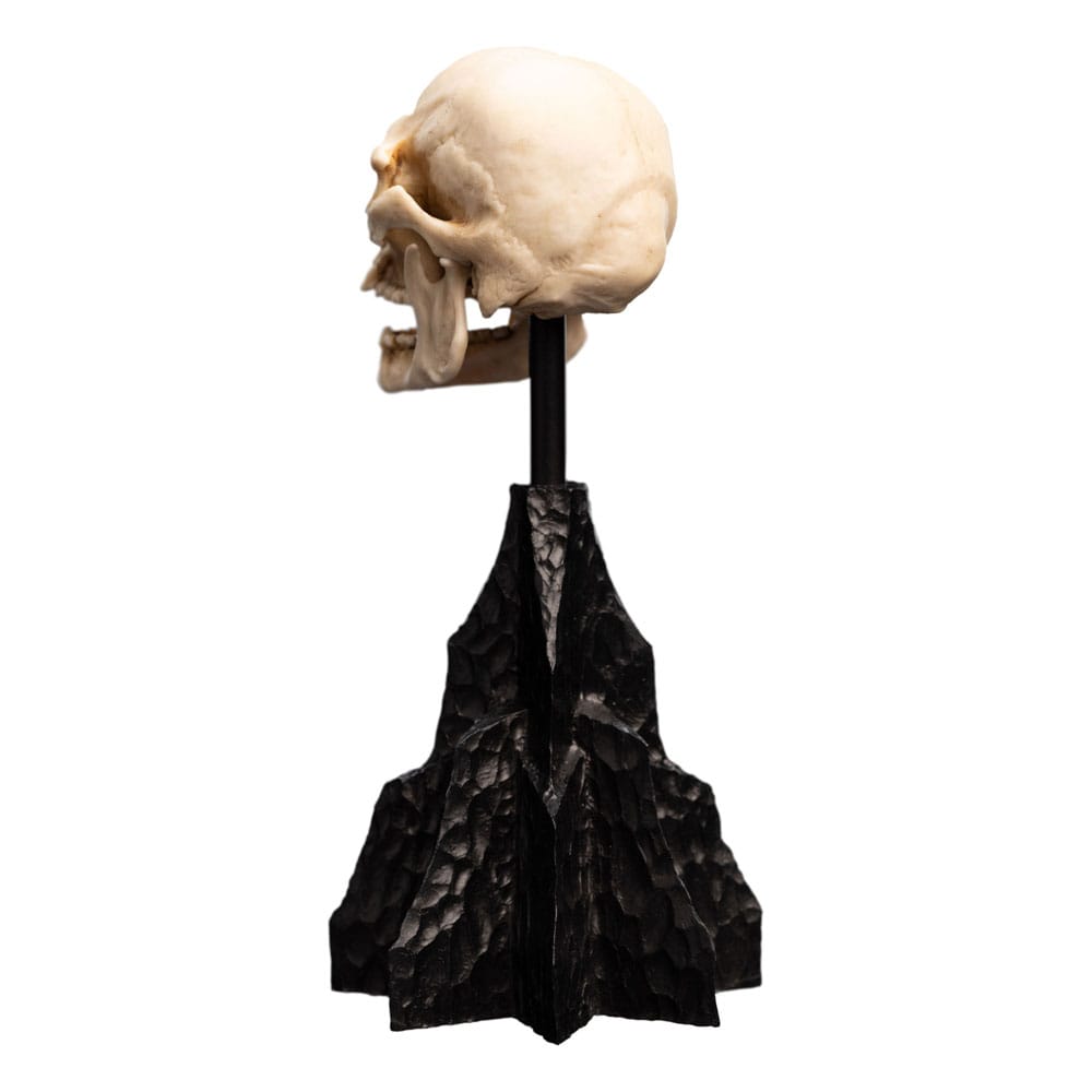 Weta Workshop Herr der Ringe Mini Statue Skull of a Mordor Orc 14 cm