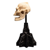Weta Workshop Herr der Ringe Mini Statue Skull of Lurtz 14 cm