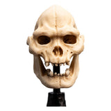 Weta Workshop Herr der Ringe Mini Statue Skull of Lurtz 14 cm
