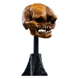 Weta Workshop Herr der Ringe Skull of a Misty Mountain Goblin Mini Statue