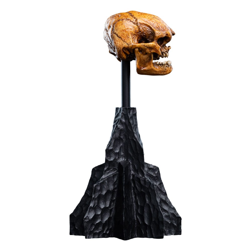 Weta Workshop Herr der Ringe Skull of a Misty Mountain Goblin Mini Statue