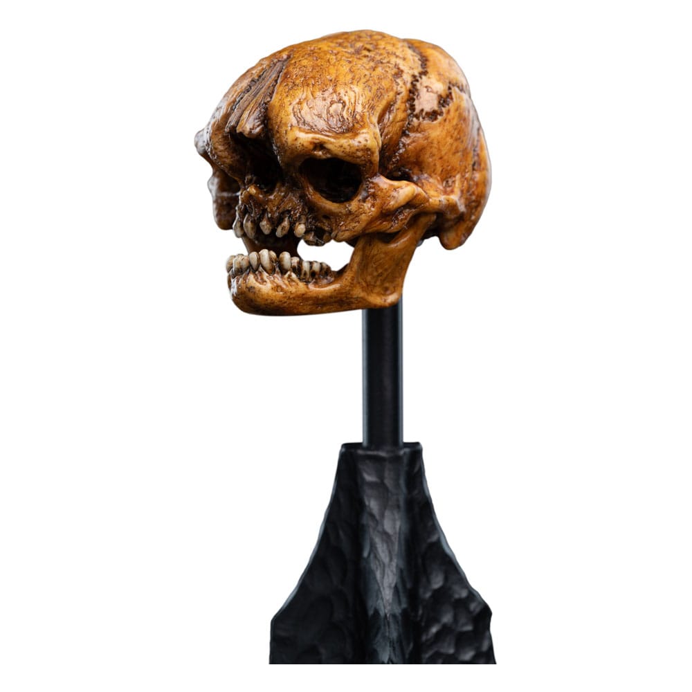 Weta Workshop Herr der Ringe Skull of a Misty Mountain Goblin Mini Statue