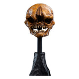 Weta Workshop Herr der Ringe Skull of a Misty Mountain Goblin Mini Statue