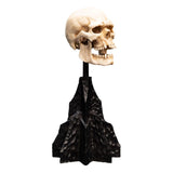 Weta Workshop Herr der Ringe Skull of a Mordor Orc Mini Statue