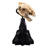 Weta Workshop Herr Der Ringe Skull Of A Warg Mini Statue