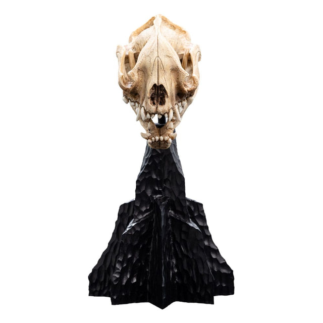 Weta Workshop Herr Der Ringe Skull Of A Warg Mini Statue