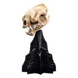 Weta Workshop Herr Der Ringe Skull Of A Warg Mini Statue