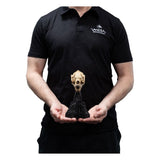 Weta Workshop Herr Der Ringe Skull Of A Warg Mini Statue
