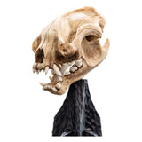 Weta Workshop Herr Der Ringe Skull Of A Warg Mini Statue