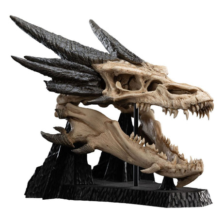 Weta Workshop Herr Der Ringe Skull Of Smaug Limitierte Edition Mini Statue Statue
