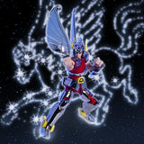 Saint Seiya Saint Cloth Series Pegasus Cloth (First Bronze Cloth) Cloth Box Limited Edition Actionfigur