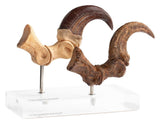 Jurassic Park Velociraptor Foot And Fossil Claw Set ECC Elite Creature Line Statue