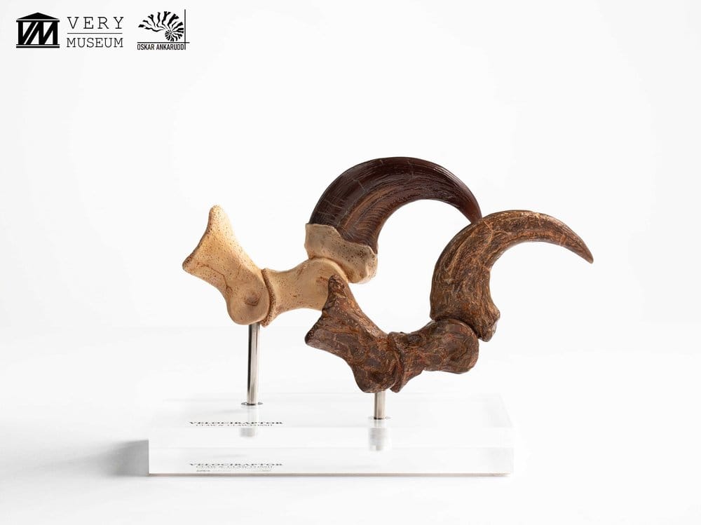 Jurassic Park Velociraptor Foot And Fossil Claw Set ECC Elite Creature Line Statue