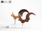 Jurassic Park Velociraptor Foot And Fossil Claw Set ECC Elite Creature Line Statue