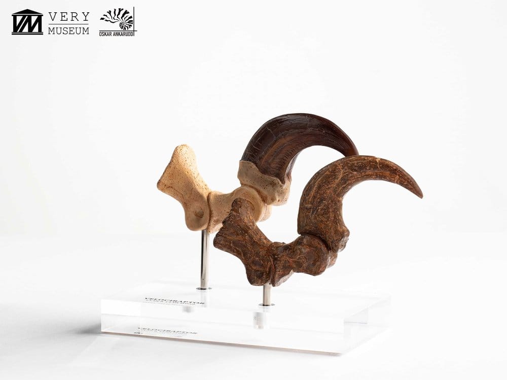 Jurassic Park Velociraptor Foot And Fossil Claw Set ECC Elite Creature Line Statue