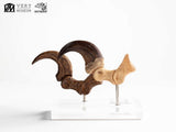 Jurassic Park Velociraptor Foot And Fossil Claw Set ECC Elite Creature Line Statue