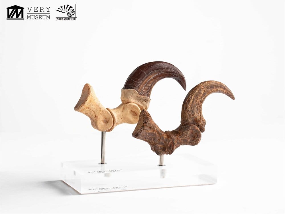 Jurassic Park Velociraptor Foot And Fossil Claw Set ECC Elite Creature Line Statue