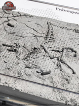 Jurassic Park III Velociraptor Ausgrabungskarte