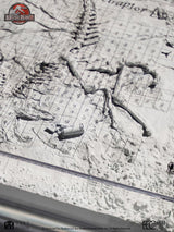 Jurassic Park III Velociraptor Ausgrabungskarte