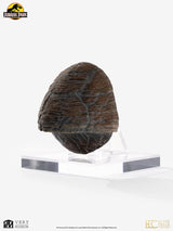 Jurassic Park Triceratops Toenail 1/1 Replik