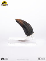 Jurassic Park Velociraptor Toenail Type A 1/1 Replik