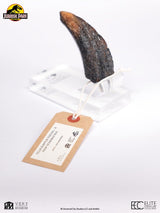 Jurassic Park Velociraptor Toenail Type A 1/1 Replik
