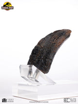 Jurassic Park Velociraptor Toenail Type A 1/1 Replik