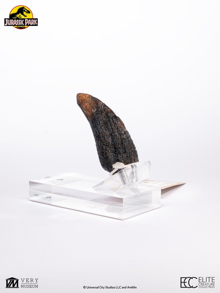 Jurassic Park Velociraptor Toenail Type A 1/1 Replik