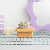 Pusheen Spardose