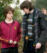 Harry Potter Hogwarts Schal