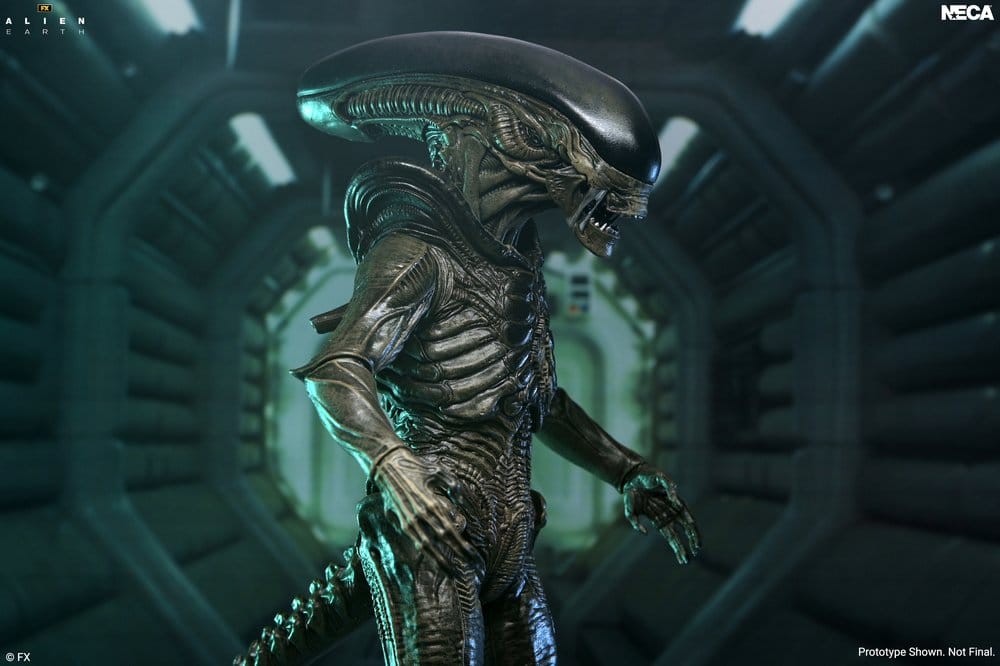 Alien Earth Ultimate Xenomorph Actionfigur