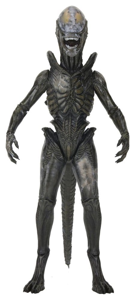 Alien Earth Ultimate Wendy's Xenomorph Actionfigur