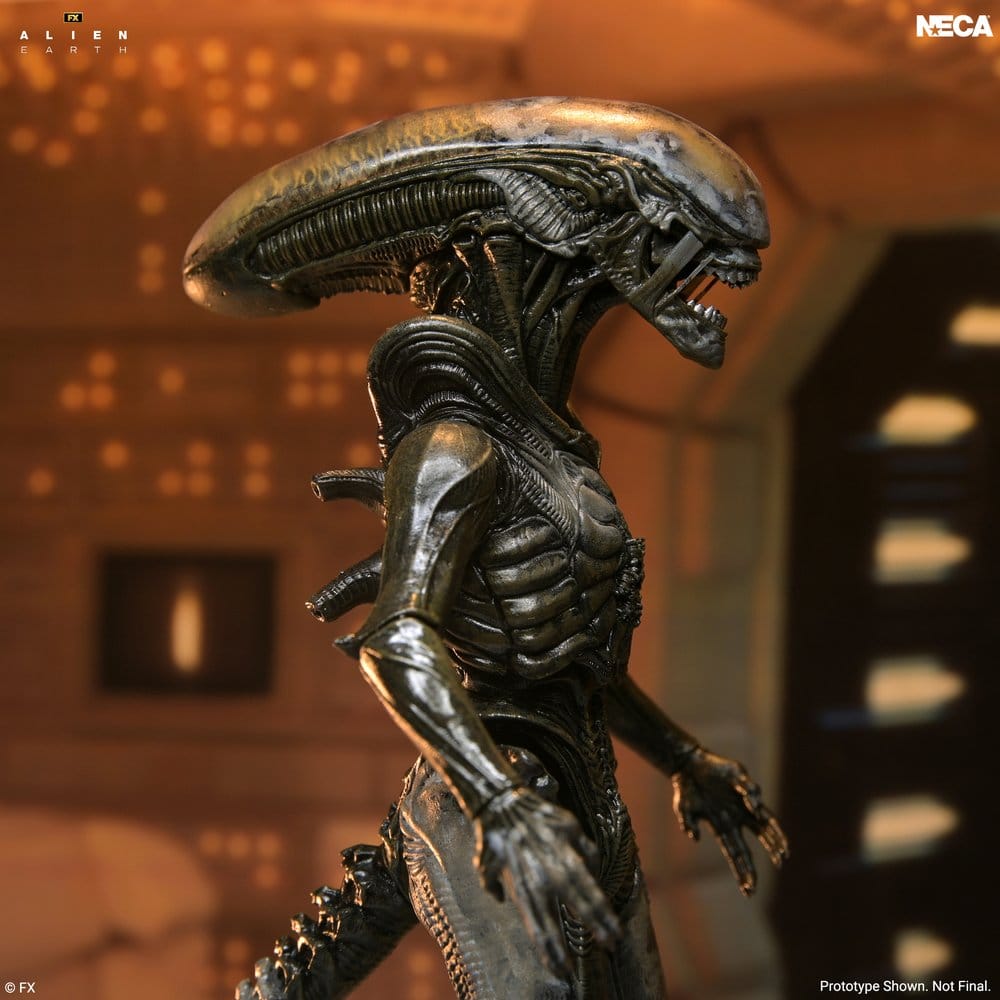 Alien Earth Ultimate Wendy's Xenomorph Actionfigur