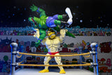 Teenage Mutant Ninja Turtles (Archie Comics) Stump Wrestling Ace Duck Actionfigur