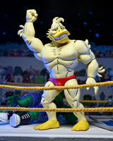 Teenage Mutant Ninja Turtles (Archie Comics) Stump Wrestling Ace Duck Actionfigur
