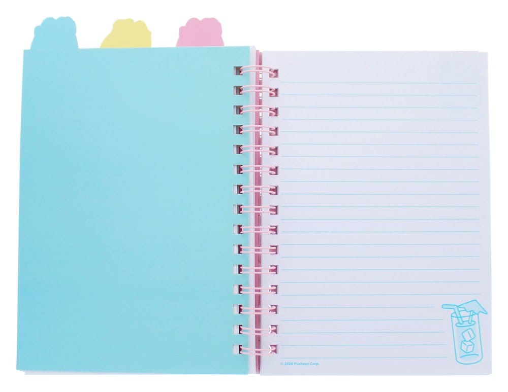 Pusheen Summer Club Project Book Notizbuch A5