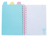 Pusheen Summer Club Project Book Notizbuch A5