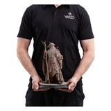 Der Herr der Ringe Statue Radagast 1/6 Statue